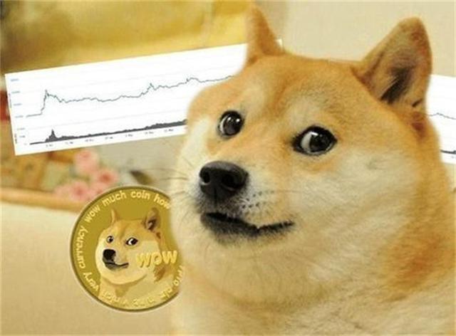 Dogecoin Whale 累積 4.5 億美元 DOGE 後成爲第 20 大錢包