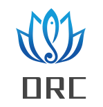 超越Chainlink的下一代預言機ORC，你的天空有多廣濶？