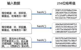 你完全可以理解區塊鏈