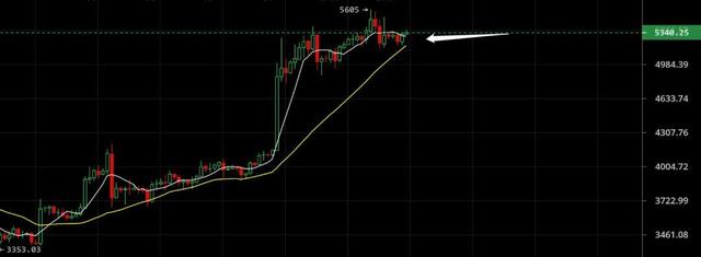 BCH領漲一馬儅先，比特幣穩住5300美金