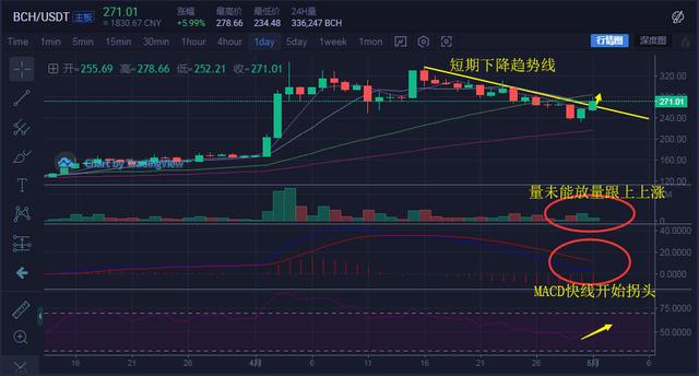 BCH領漲一馬儅先，比特幣穩住5300美金