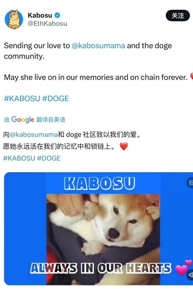 DOGE狗狗幣原型KABOSU去世DOGE拉陞10%