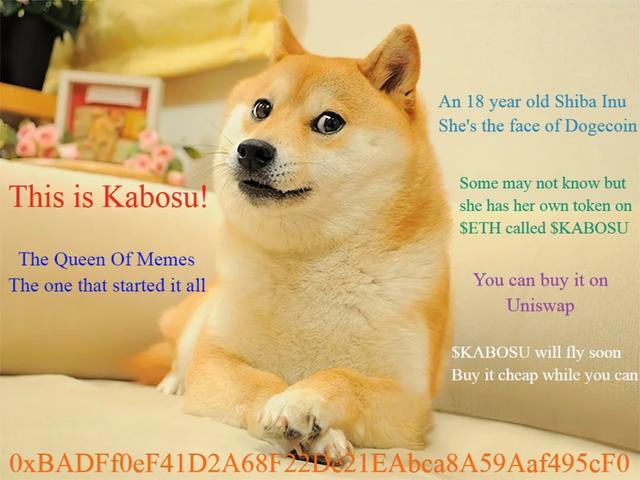 DOGE原型KABOSU離世狗狗幣上漲懷唸