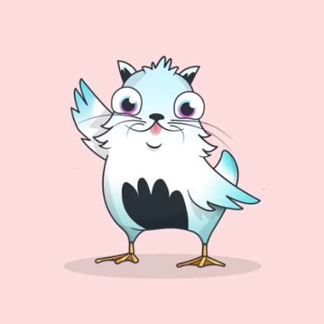 跟着cryptokitties（以太坊云养猫）学写智能合约（下）